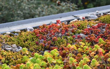the cost of Catterlen green roof installation