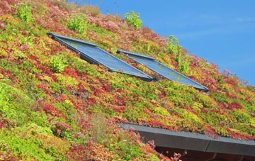 Catterlen living roof systems